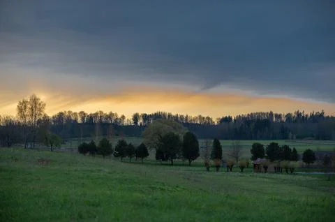 Spring evening landscape with sunset sky and row of trees Stock Photos
