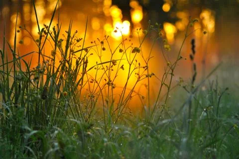 Spring evening Stock Photos