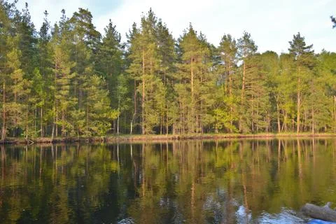 Spring evening on the river. Stock Photos