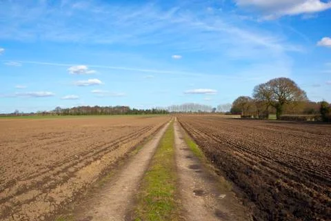 Spring farm track with plowed fields Stock Photos