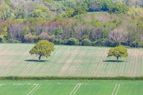 A Spring Farm View Stock Photos
