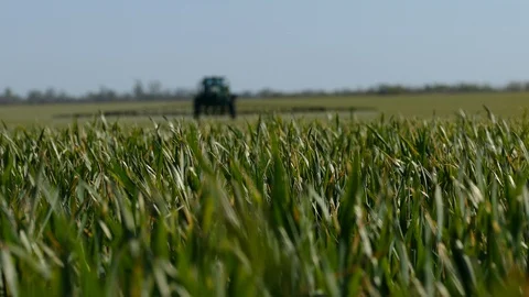 Spring farm work in the field. Stock Footage 128110270