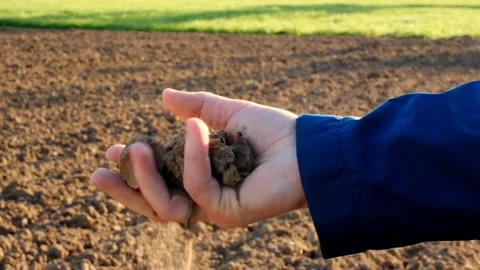 Spring farm work.Arable land.The farmer kneads the earth in his hand Vidéo 170120922