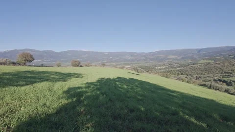 Spring farmland with single olive tree and mountain valley view Stock Footage 328093477