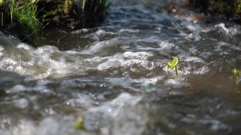 Spring fast river flow glistens in the sun. Stock Footage 130686157