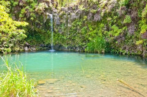 Spring fed pool on the road to Hana - Maui Stock Photos