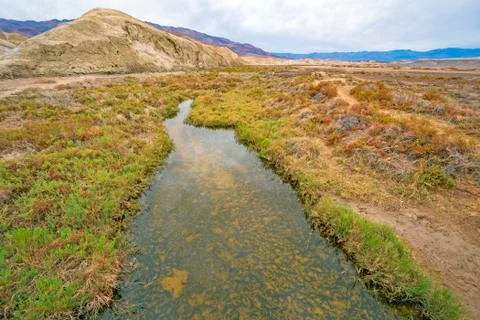 Spring Fed Stream in a Desert Landscape Stockfoto's