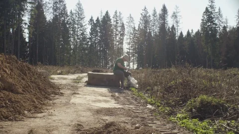 Spring in the felling Video stock 107375939