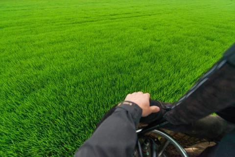 Spring field from above Stock Photos
