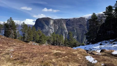 Spring field among the mountains and fjords Stock Footage 309140975