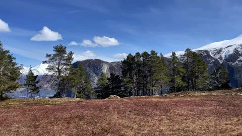 Spring field and forest among the mountains of Nor Stock Footage 309140985