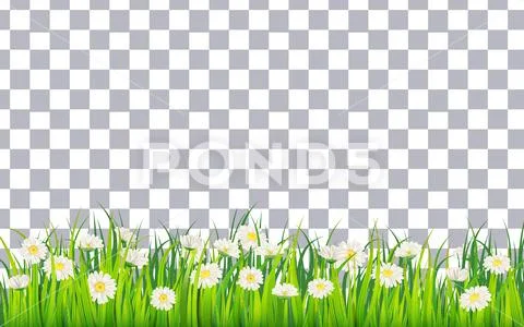 Spring field of flowers of daisies, chamomile and green juicy grass, meadow Stock Illustration