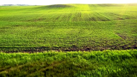 Spring Field Flyover Stock Footage 109238763