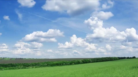 Spring field Stock Footage 1671631