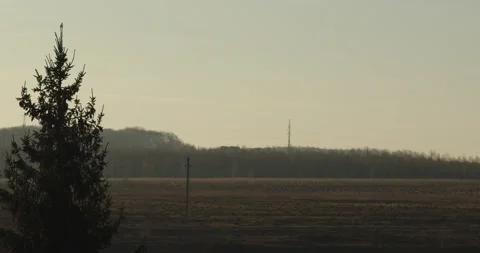 Spring field Stock Footage 131406693