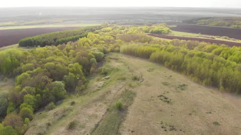 Spring field Stock Footage 147093688