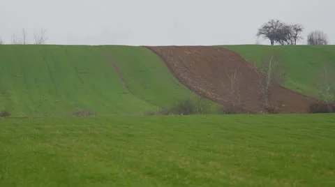 Spring field, green and brown parcels Stock Footage 22342152