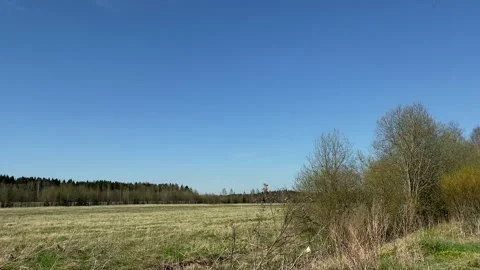Spring field with green grass and trees and a blue sky, and there is an illegal  Stock Footage 131106132