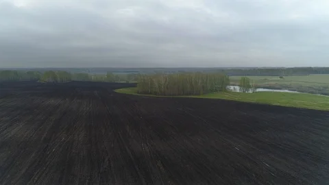 Spring Field Landscape Video stock 90962143