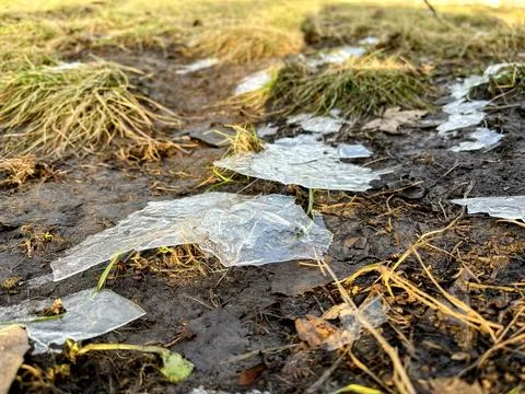 Spring field landscape Stock Photos