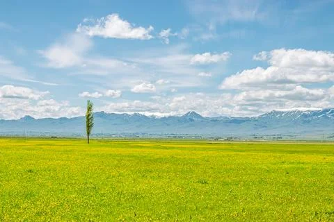 Spring Field with Mountain View and Copy Space, Erzurum Plain Stock Photos