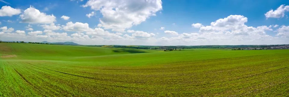 Spring field panorama Stock Photos