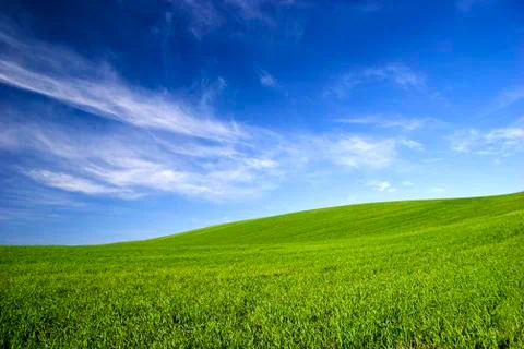 Spring field Stock Photos