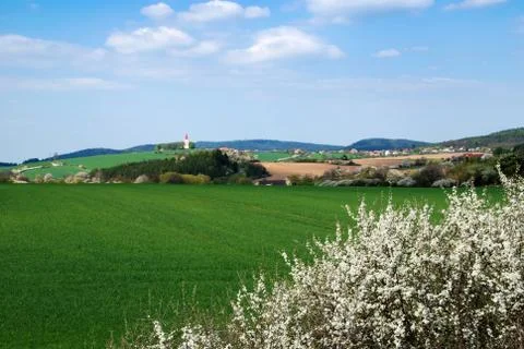 Spring field Stock Photos