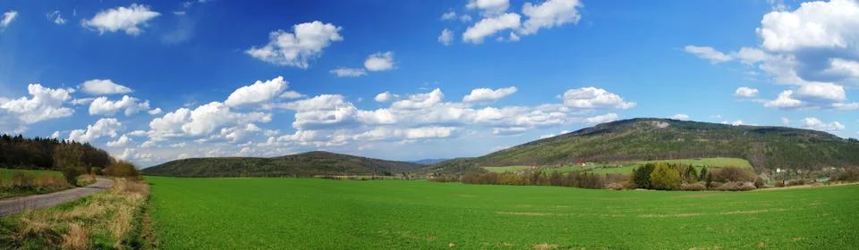 Spring field Stock Photos