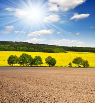 Spring field  Stock Photos