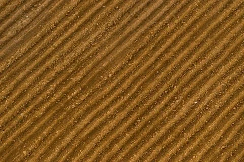 Spring field Stock Photos