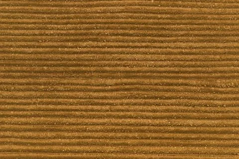 Spring field Stock Photos