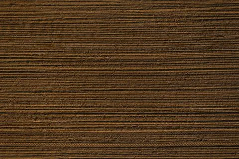 Spring field Stock Photos