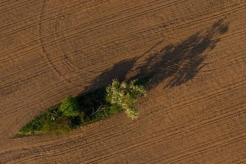 Spring field Stock Photos