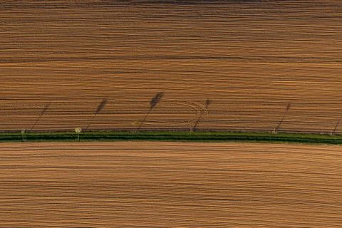 Spring field Stock Photos