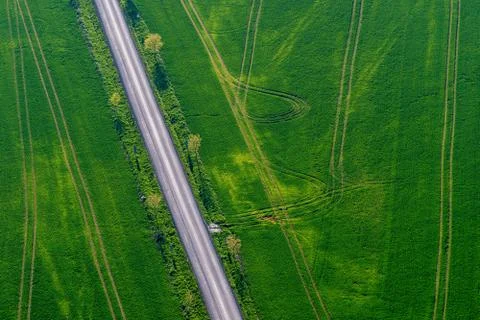 Spring field Stock Photos