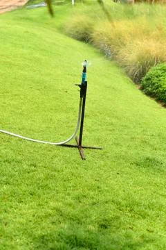 Spring field Foto stock