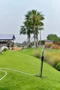 Spring field Foto stock