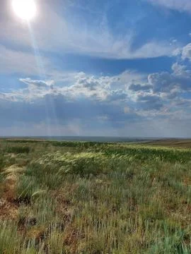 Spring in the field Stock Photos