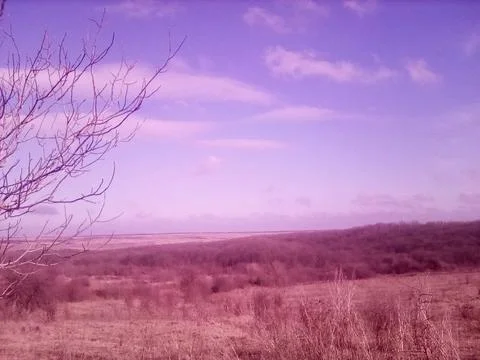 Spring field Foto stock