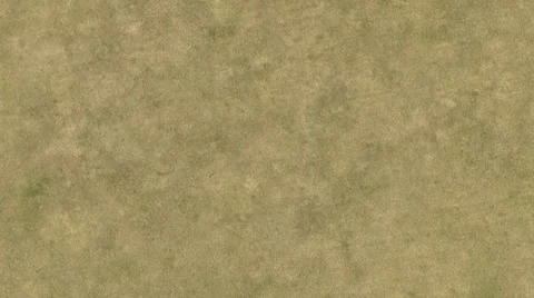Spring field Shot from straight above Stock Footage 69068768
