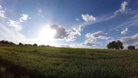 Spring Field At Sunset Stockbeeldmateriaal 196713333