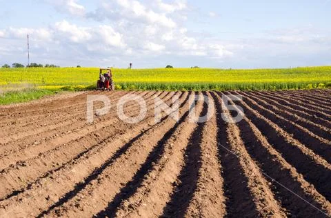 Spring field with tillage and tractor Stock Photos