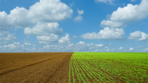 Spring field time lapse scene 스톡 동영상 276166149