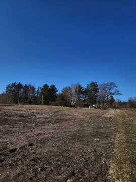 Spring Field with Trees on the Horizon Stock Photos