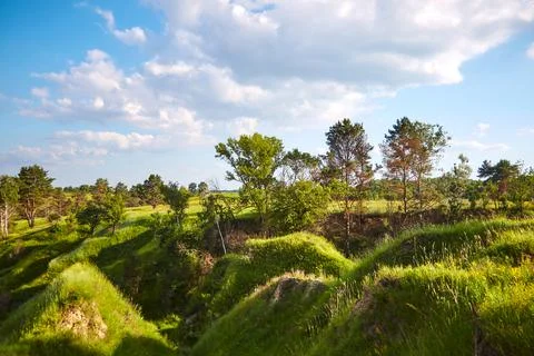 Spring field with trees Stock-Fotos
