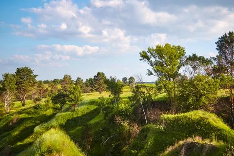 Spring field with trees 스톡 사진