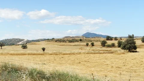 Spring field under blue sky in Larnaca, Cyprus. Rural landscape of grass and Stock Footage 93805154