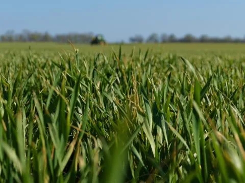 Spring field work Stock Photos