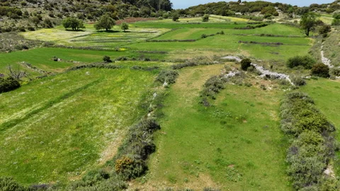 Spring fields aerial. Stock Footage 309937585